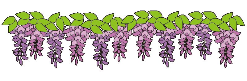 藤の花